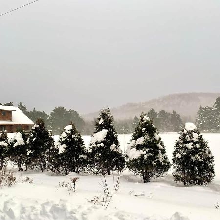 Stunning Log Cabin Getaway At The Hannu Haus Айронвуд Екстер'єр фото